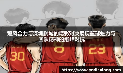 楚风合力与深圳鹏城的精彩对决展现篮球魅力与团队精神的巅峰对抗
